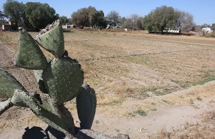 Plano oficial resolvería conflicto en Fracc. El 21