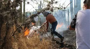 Prohíben quemas en predios baldíos