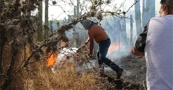 Proh&iacute;ben quemas en predios bald&iacute;os