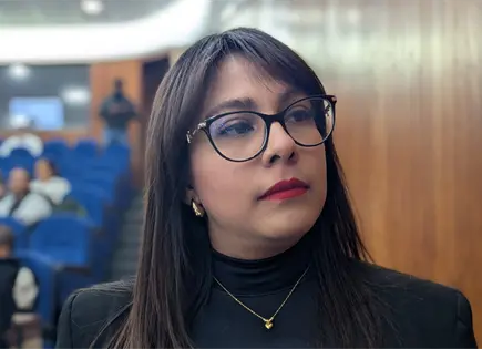 Revisarán padrón de deudores alimentarios; dudan de eficacia Revisarán padrón de deudores alimentarios; dudan de eficacia