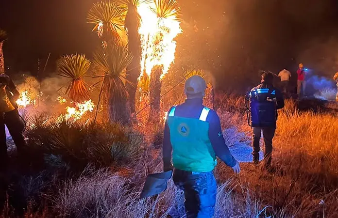 Registra SGS 80 incendios este año