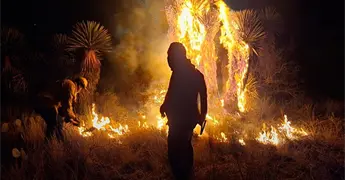 Se incendia vegetaci&oacute;n en camino a Palomas