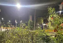 Al menos, cuatro &aacute;rboles ca&iacute;dos tras lluvia en la capital