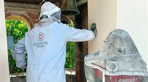 Enjambre de abejas atacan a una mujer