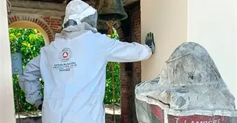 Enjambre de abejas atacan a una mujer