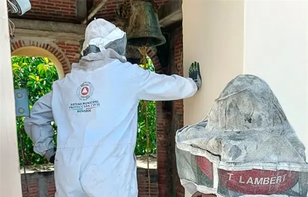 Enjambre de abejas atacan a una mujer