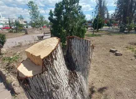 Consensuada, intervenci&oacute;n en parque de colonia Virreyes