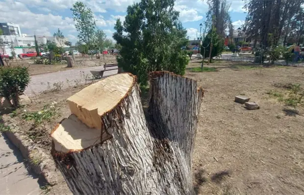 Consensuada, intervenci&oacute;n en parque de colonia Virreyes
