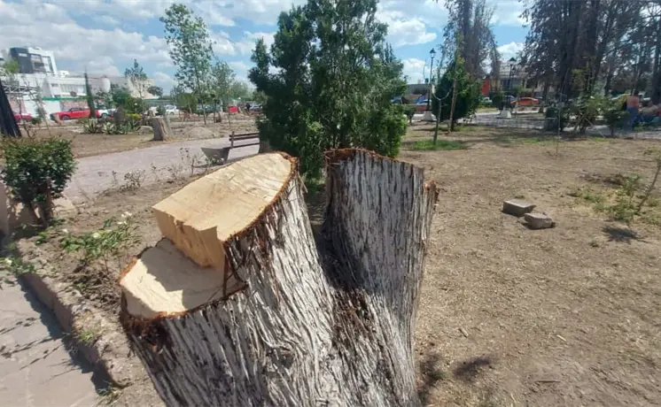 Consensuada, intervenci&oacute;n en parque de colonia Virreyes