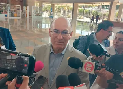 Consensuada, intervenci&oacute;n en jard&iacute;n: Christian  Azuara