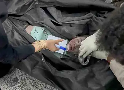 EU, autor de fatal ataque