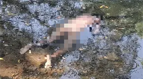 Hallan sin vida a un hombre en paraje de Huehuetl&aacute;n