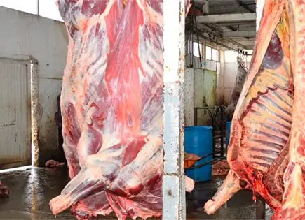 No se han detectado rastros clandestinos: PC