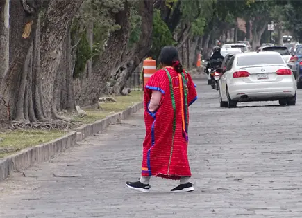 Cuestiona OIM reforma electoral Cuestiona OIM reforma electoral