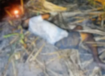 Encuentran sin vida a jornalero en parcela cercana a San Isidro