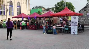 Diputada conmemora a la mujer con tianguis