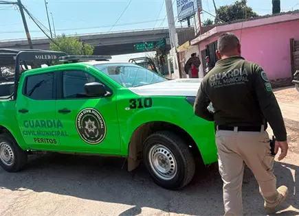 Padres solapan desmanes de hijos en La Constancia