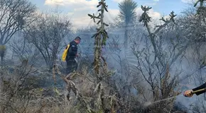 Combaten incendio a orilla de camino en Mexquitic