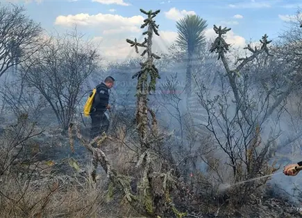 Combaten incendio a orilla de camino en Mexquitic