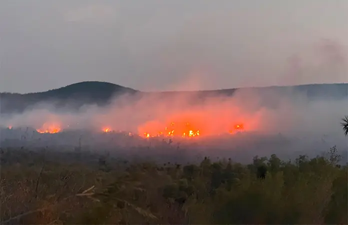 Controlan incendio en Buenavista