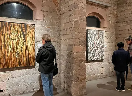 Exposici&oacute;n C&oacute;rtex