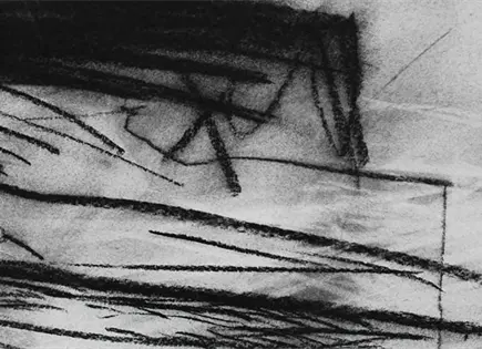 "Focaria", exposici&oacute;n de Iv&aacute;n Beltr&aacute;n