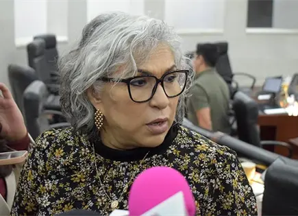 Ir&aacute; Morena por Plan B en elecciones