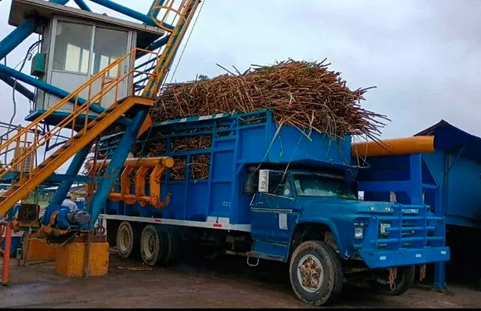 Molerán un millón de toneladas de caña