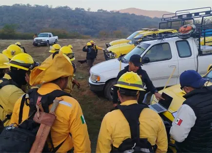 Combaten incendio forestal en Ciudad del Ma&iacute;z
