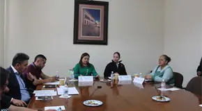 Rechazan propuesta penal contra uso no profesional de IA