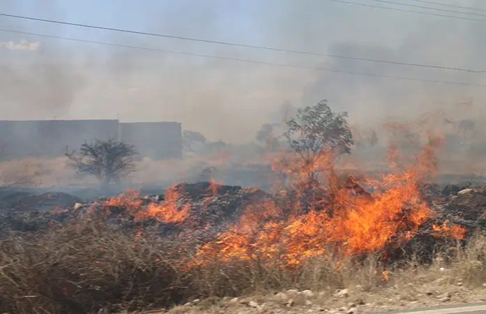 Admite la Segam que falta monitoreo