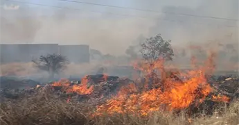 Admite la Segam que falta monitoreo