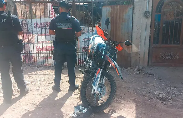 Choca menor contra poste