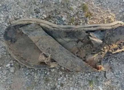 Colectivo Buscando a Jonás localiza panteón clandestino en Sonora Colectivo Buscando a Jonás localiza panteón clandestino en Sonora