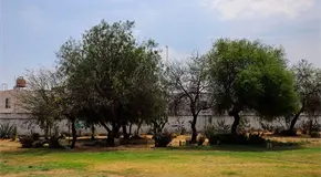 Evade San Luis Potosí la condición de sequía