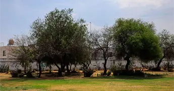 Evade San Luis Potos&iacute; la condici&oacute;n de sequ&iacute;a