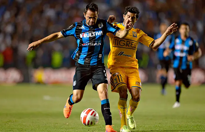 Tigres listo para recibir a los Gallos Blancos