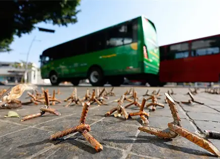 Apresan a Pepe, clave en la ca&iacute;da de "El Mencho"