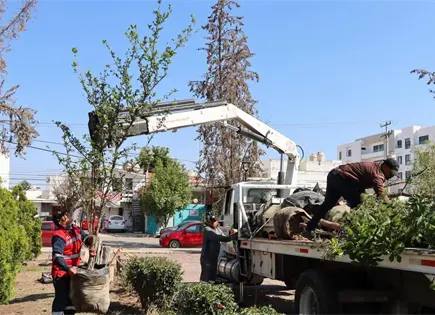 Ayuntamiento responde por poda en jard&iacute;n de Virreyes