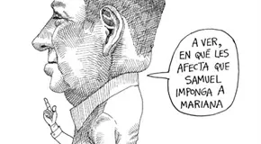 irse por las ramas...