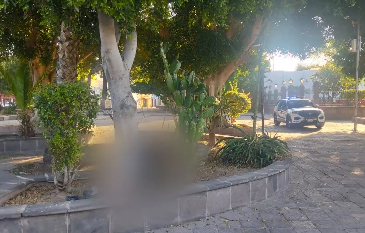 Localizan a mujer sin vida en el jardín de San Sebastián