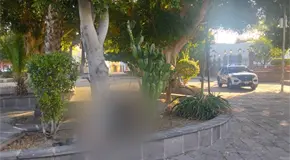 Localizan a mujer sin vida en el jard&iacute;n de San Sebasti&aacute;n