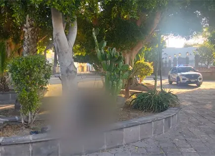 Localizan a mujer sin vida en el jard&iacute;n de San Sebasti&aacute;n
