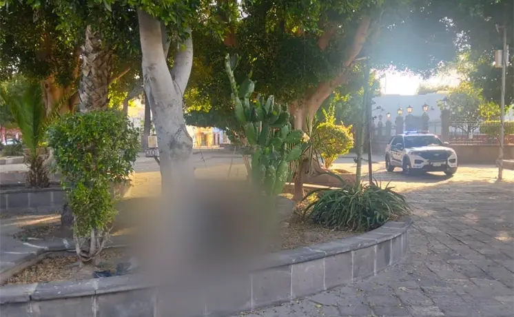 Localizan a mujer sin vida en el jardín de San Sebastián Localizan a mujer sin vida en el jardín de San Sebastián