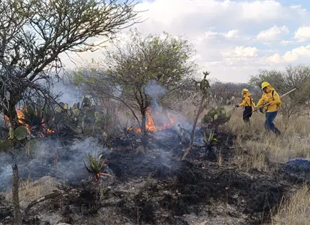 Van m&aacute;s de 20 mil hect&aacute;reas consumidas por incendios: PC