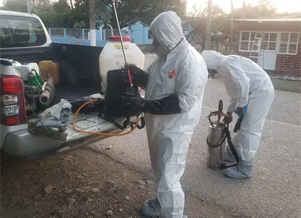 Activan alerta sanitaria en SLP por gusano barrenador