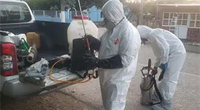 Alerta sanitaria en zonas media y huasteca por gusano barrenador