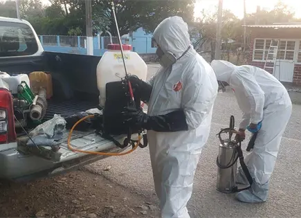 Alerta sanitaria en zonas media y huasteca por barrenador