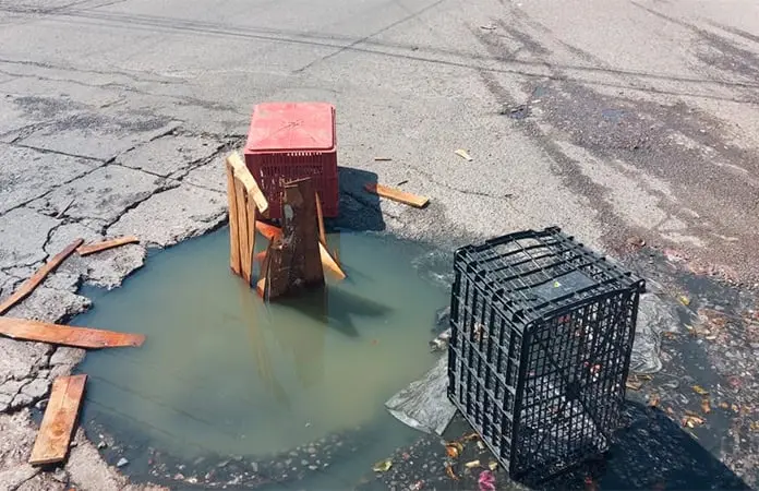 Basura y grasa tapan el drenaje del Centro