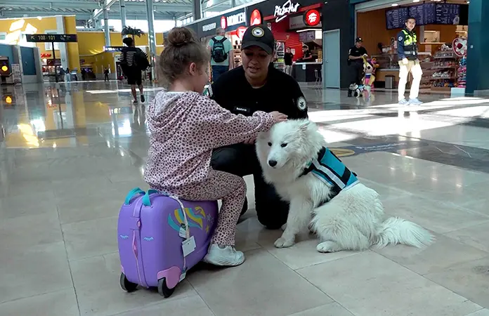 Brindan en el AIFA terapia perruna